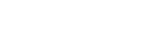 BT Fleet